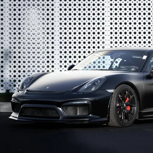 2016 Porsche Cayman GTS — photo posted by @OsloRegistry